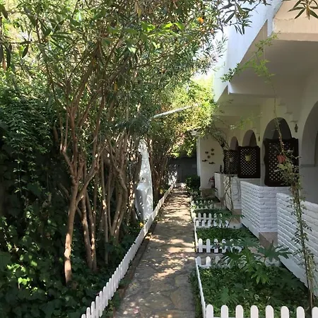 Kano Dalyan